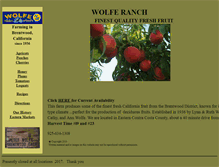 Tablet Screenshot of peterwolfe.com